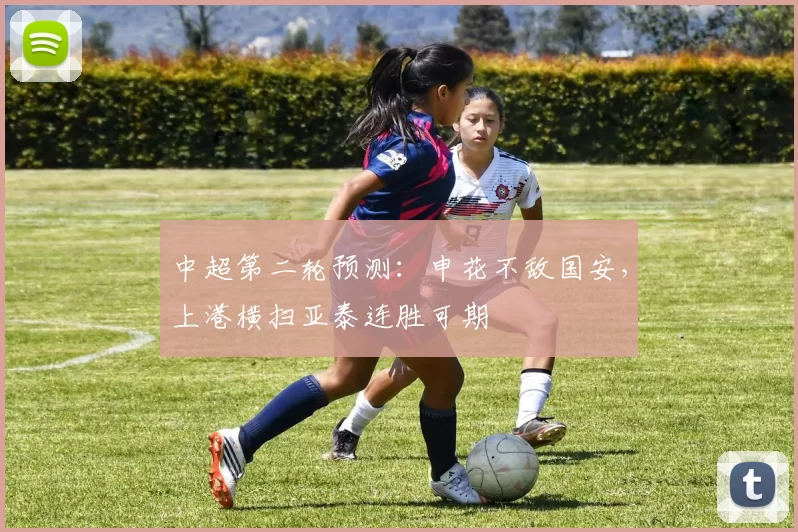 中超第二轮预测：申花不敌国安，上港横扫亚泰连胜可期