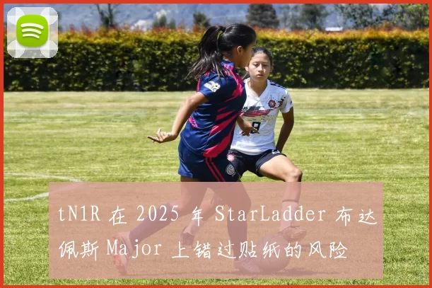 tN1R 在 2025 年 StarLadder 布达佩斯 Major 上错过贴纸的风险