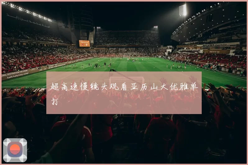 超高速慢镜头观看亚历山大优雅单打