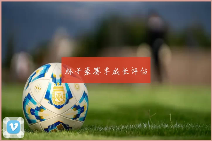 林子豪赛季成长评估