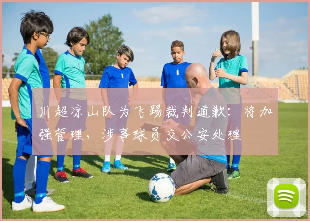 川超凉山队为飞踢裁判道歉：将加强管理，涉事球员交公安处理