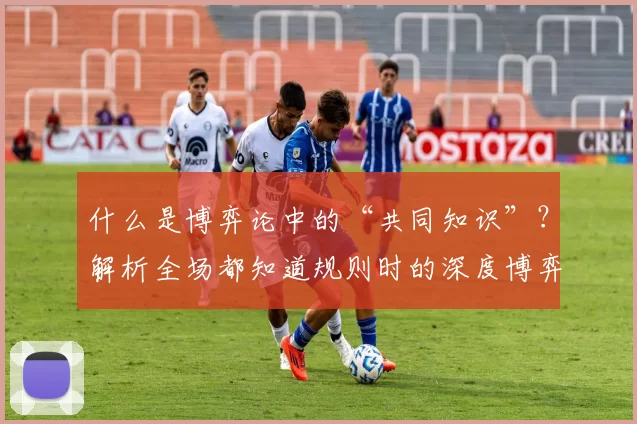 什么是博弈论中的“共同知识”？解析全场都知道规则时的深度博弈。（当规则人人皆知：博弈论中的共同知识与策略深度）