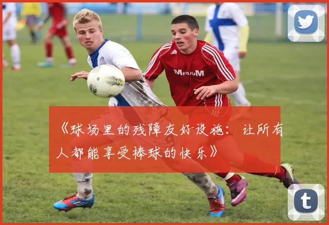 《球场里的残障友好设施：让所有人都能享受棒球的快乐》