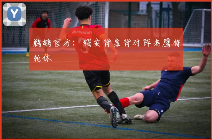 鹈鹕官方：锡安背靠背对阵老鹰将轮休